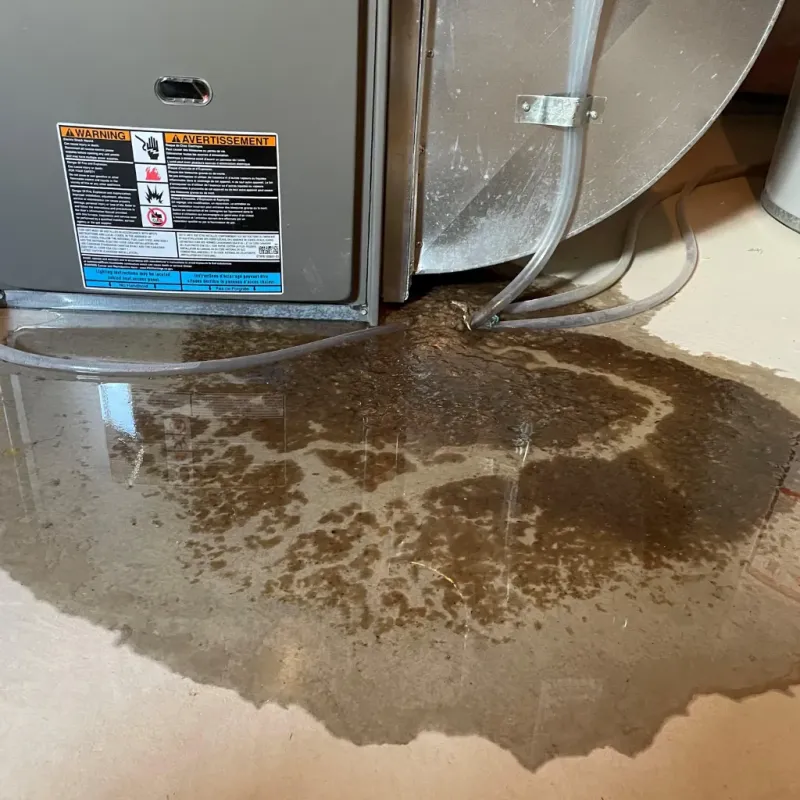 Appliance Leak Cleanup in Monroe, IA